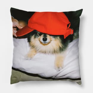 Taehyung V Yeontan Pillow