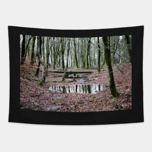 The Iron Pipe Tapestry