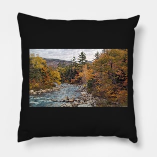 Swift River Autumn Pillow