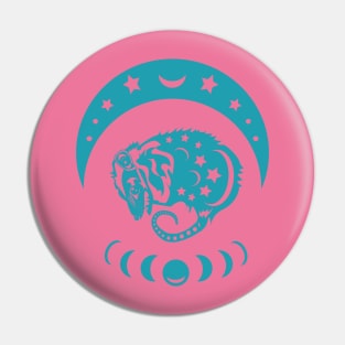 Teal and Pink Possum Pin