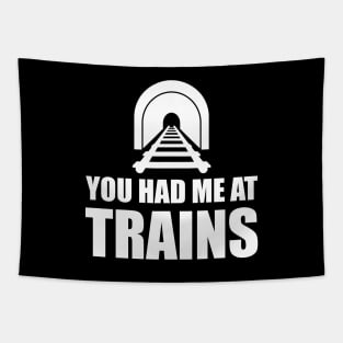 Train - You had me at trains w Tapestry