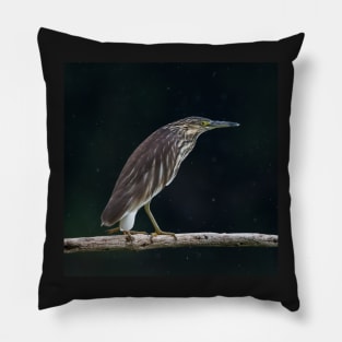 Green-Backed Heron Pillow