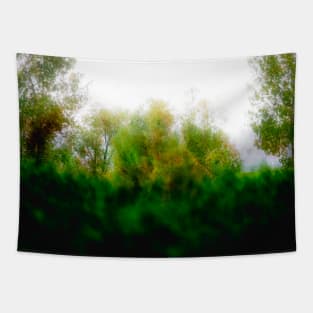 Misty day in the park Tapestry