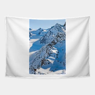 French Alps Mont Vallon Meribel Mottaret France Tapestry