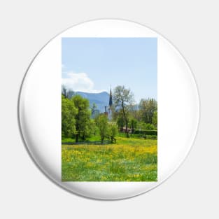 Flower meadow with fruit trees in spring, Bad Wiessee, Tegernsee Pin