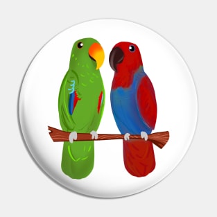 Ekkie Love Cute Eclectus Parrot Couple for parrot lovers Pin