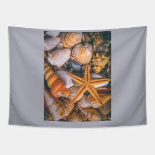 Starfish Beach Summer Travel Shells Tapestry