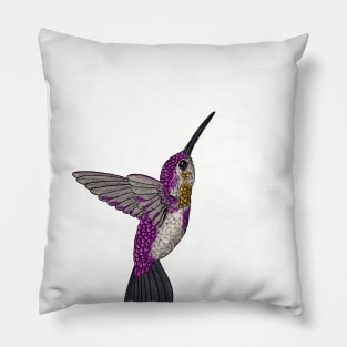 Hummingbird Pillow