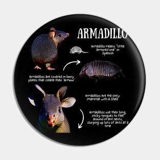 Armadillo Fun Facts Pin