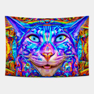 Kosmic Kitty (6) - Trippy Psychedelic Cat Tapestry