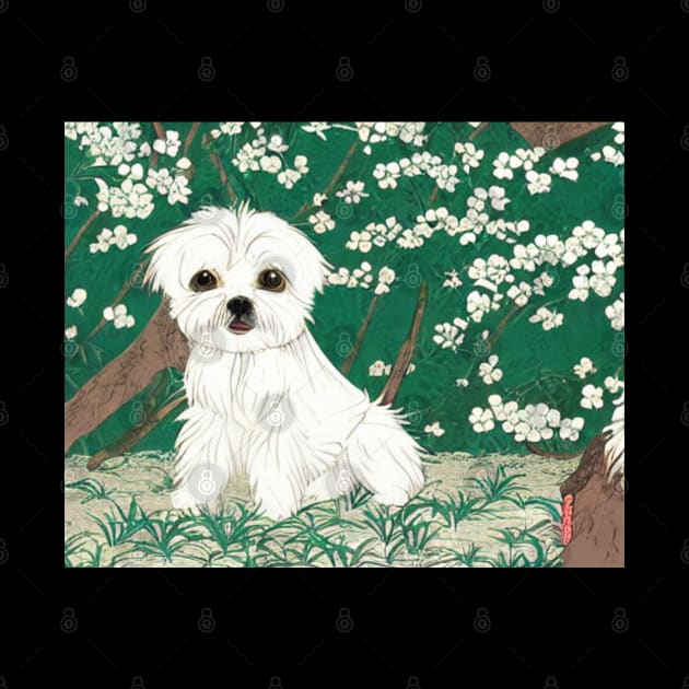 Cute Malshi Dog Shih Tzu Maltese Crusty White Dog Puppy in Garden by Mochabonk