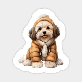 Winter Havanese Dog Magnet