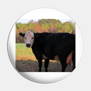 White Face Cow Pin