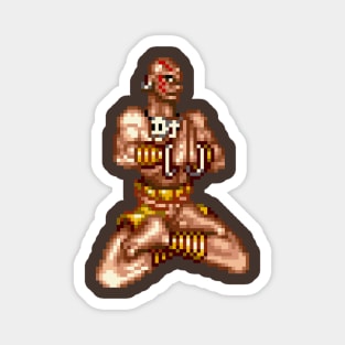 Dhalsim Magnet