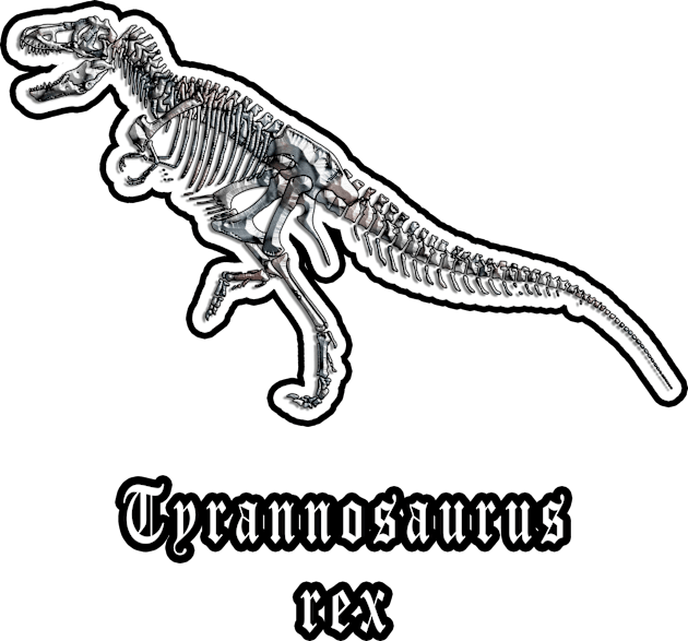 🦖 Fossil Skeleton of a Tyrannosaurus rex Dinosaur Kids T-Shirt by Pixoplanet