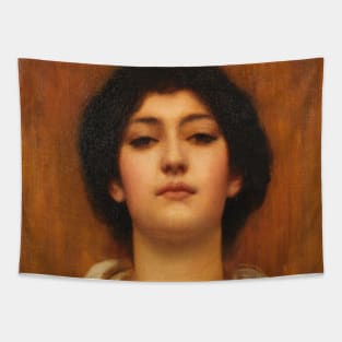 A Beauty by John William Godward Tapestry