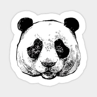 Panda Bear Magnet