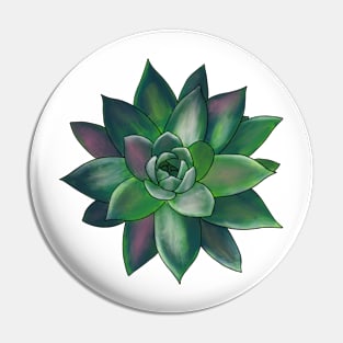 Colorful Succulent - Green and Pink Pin