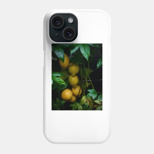 Italian restaurant lemon art Phone Case