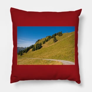 Monte Morgenleit in North Italian Alps Pillow