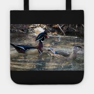 Wood Ducks. Tote