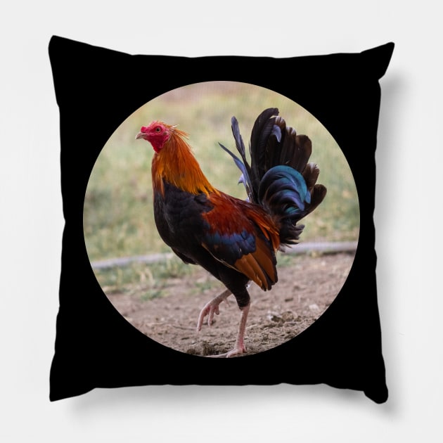 the rooster Pillow by rickylabellevie