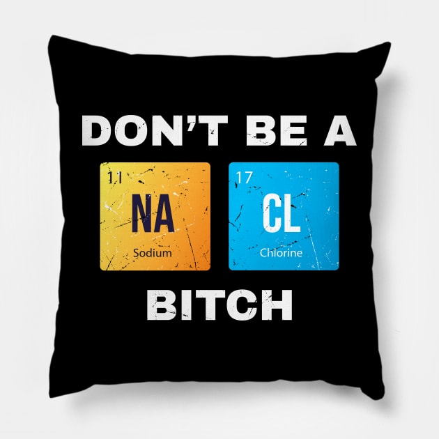 Dont Be a Salty Bitch Periodic Pillow by Lumintu Merch