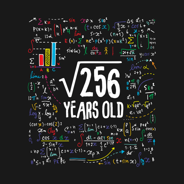 Square Root Of 256 16th Birthday 16 Year Old Gifts Math by Kerin