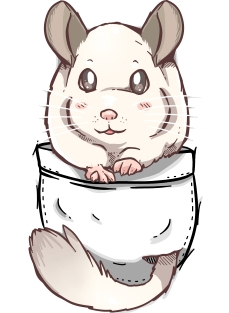 Pocket Cute White Chinchilla Magnet