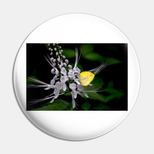 Lemon Migrant Pin