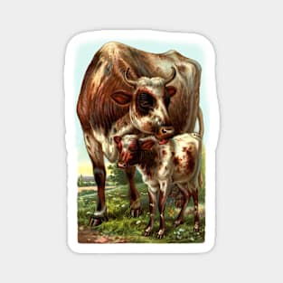 Cow with Calf Vintage Illustration Magnet