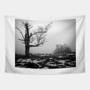 Lone Tree In Fog BnW Tapestry