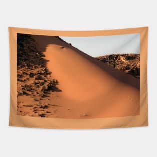 Sand Dune Tapestry