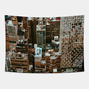 Downtown Manhattan view Tapestry