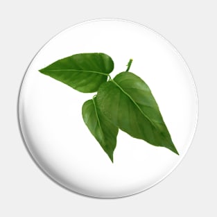 Pothos Jade Leaf Pin