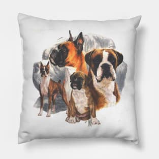 Boxer Montage Pillow