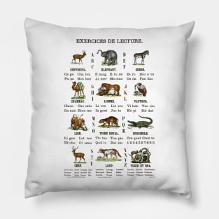 26 letters alphabet Pillow