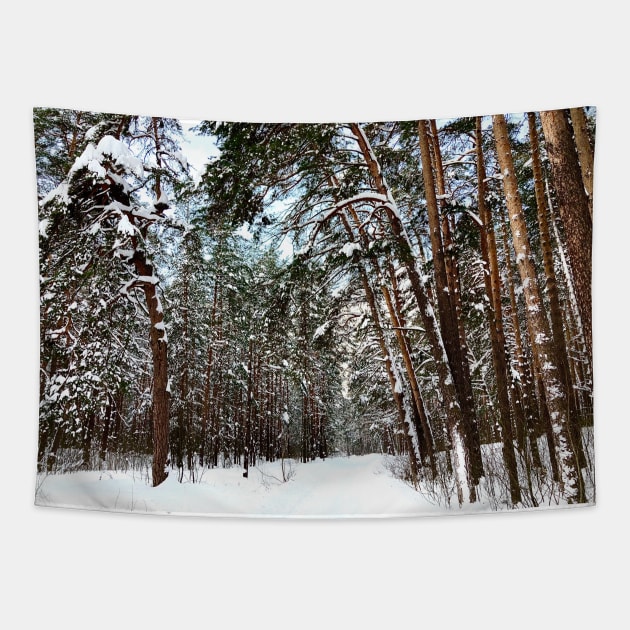 View at the Striginsky Bor Forest Park in Nizhny Novgorod and its pine trees Tapestry by KristinaDrozd