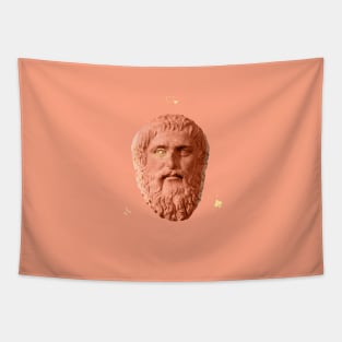 Plato Design Tapestry