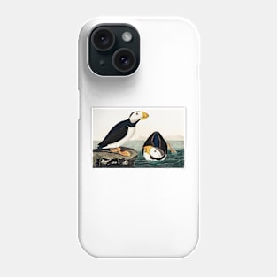 Bird of America  Bird, bird lover, america, beautiful  Public domain painting by John James Audubon Phone Case