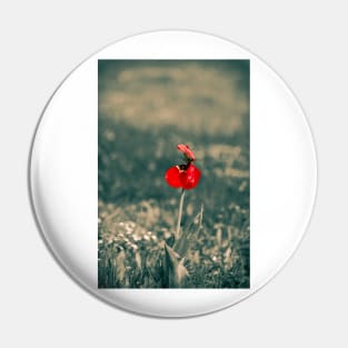 Lonely Red Flower Pin