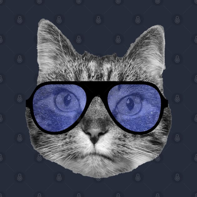 Cat wearing cool blue sunglasses by Purrfect