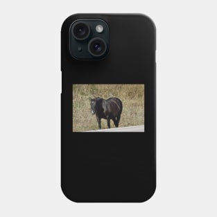 Wild Horse Phone Case