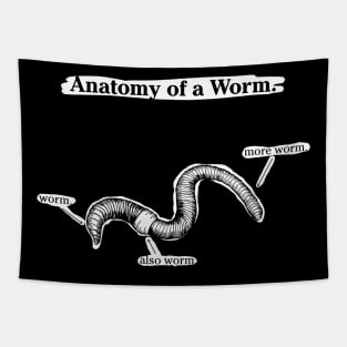 Anatomy of a Worm - Dark Tapestry