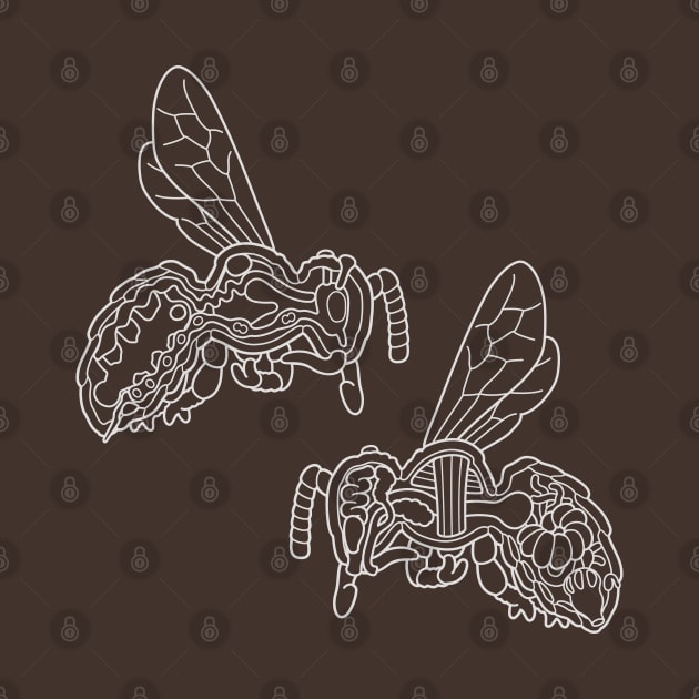 White Line Drawing of Honey Bee Anatomy Illustration by taylorcustom