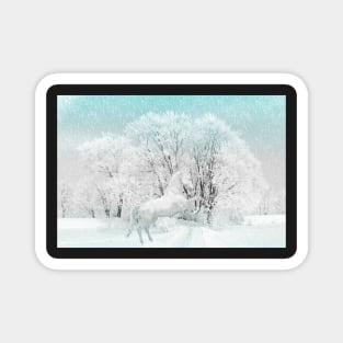 Winter Wonderland Magnet