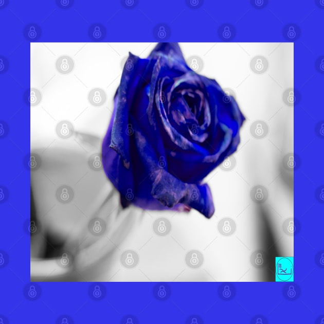 blue rose by callalexi