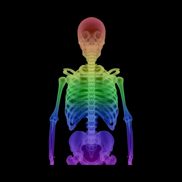 Rainbow Skeleton Gay Pride by EvolvedandLovingIt