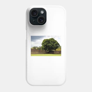 Ancient Walls Phone Case