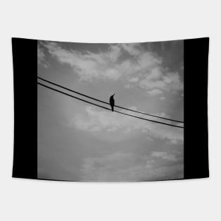 Black And White Bird Tapestry